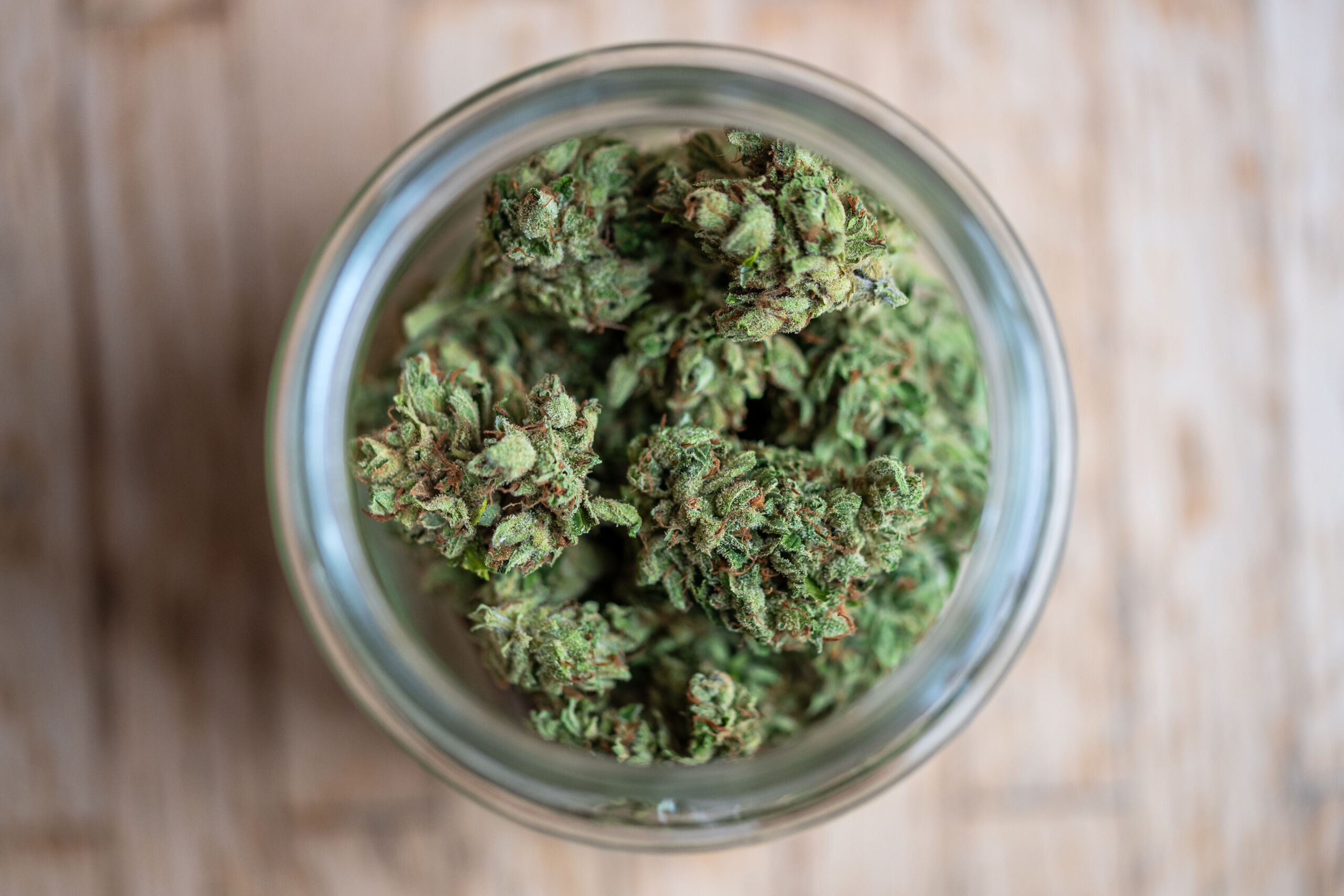 Closeup photo of a glass jar containing dried cannabis marijuana buds