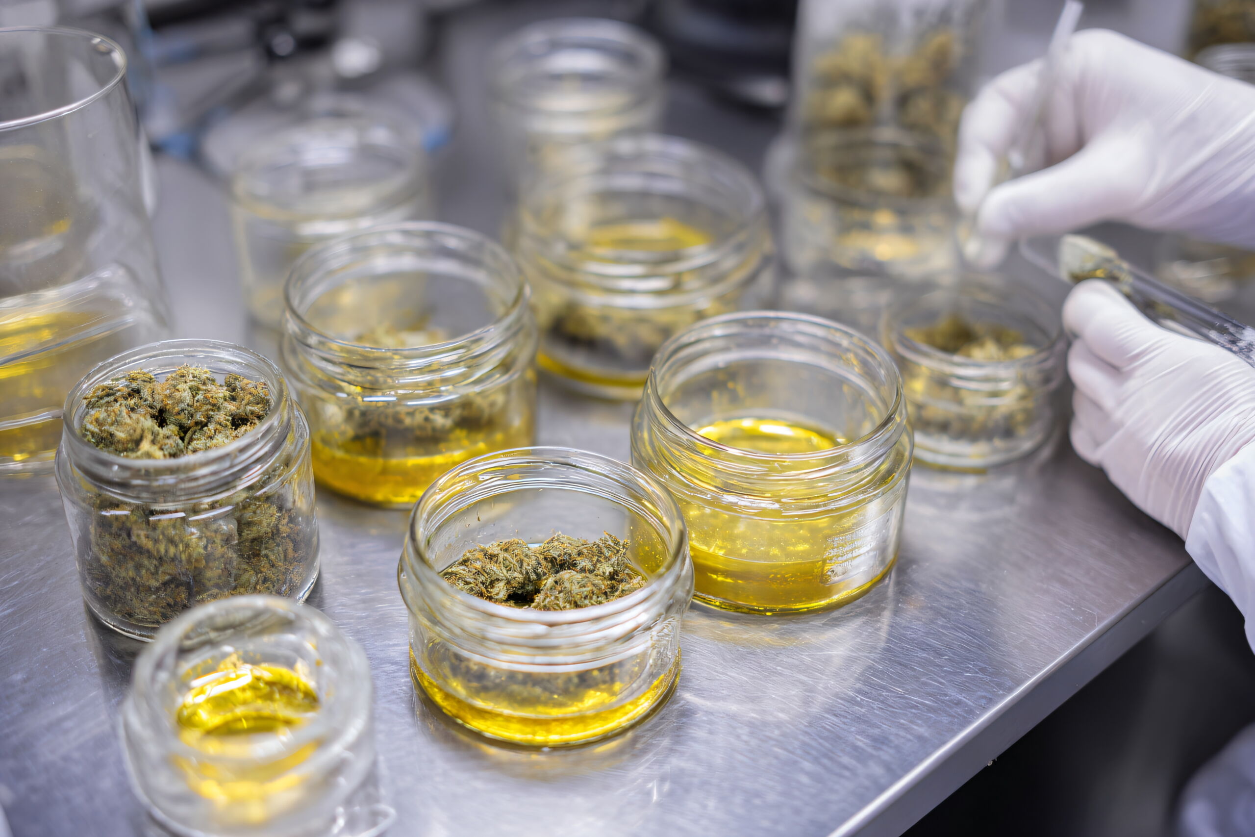 Industrial machine fills small glass vials with green botanical material and liquid. Automated manufacturing process for medical cannabis oil production.